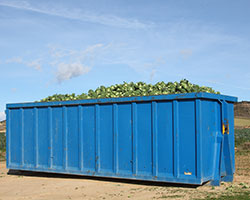 Dumpster Rental in Taylor County