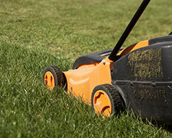 Lawn Care in Champaign County