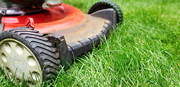 Lawn Mowing Service Greene County, NY