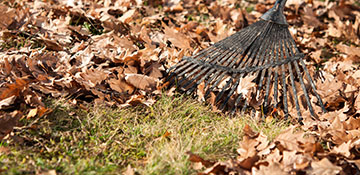 Tazewell County Leaf Removal