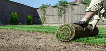 Champaign County Sod Installation